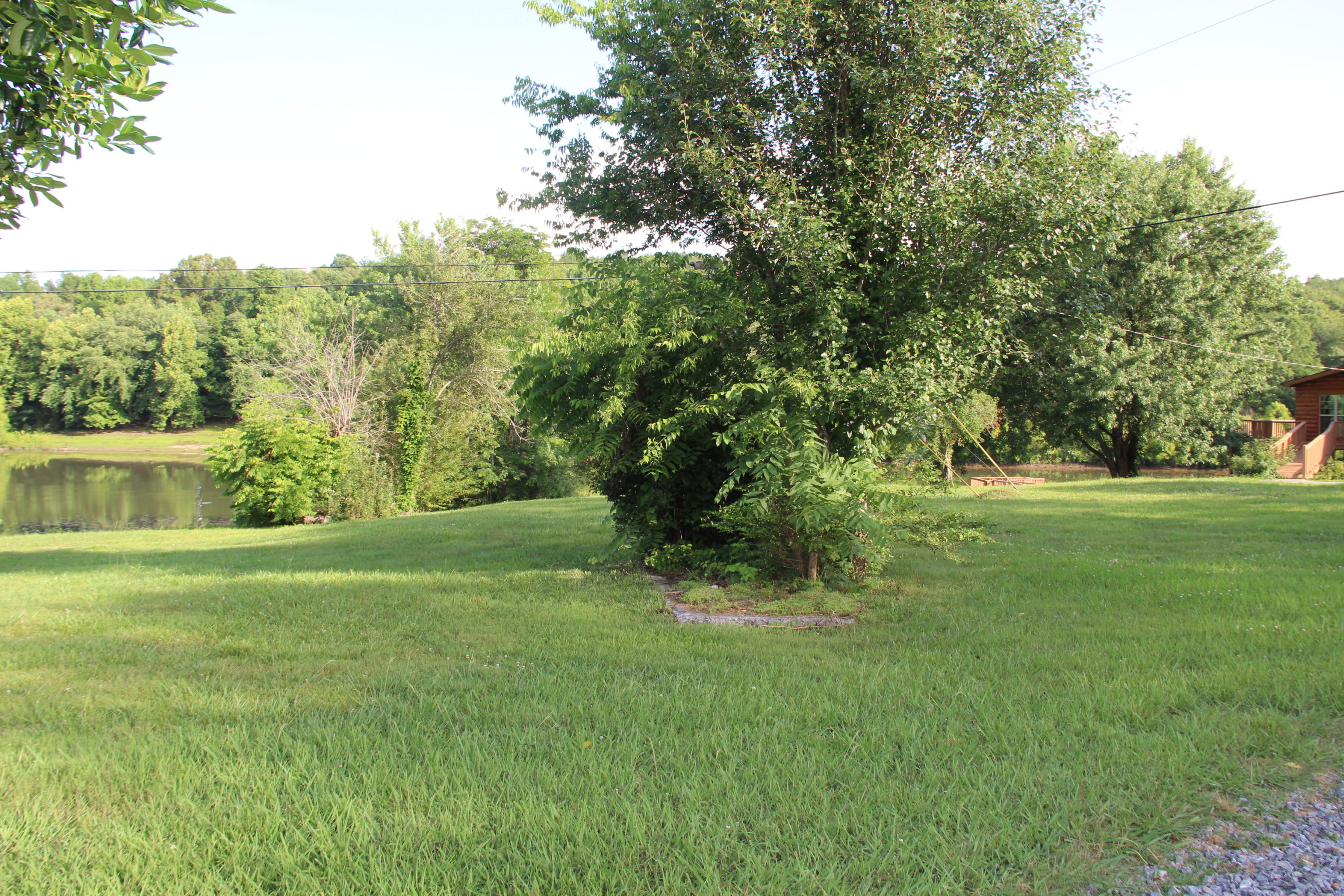 718 Saw Mill Road Tellico Plains, TN 37385 - Photo 2 of 44 IMG_2303