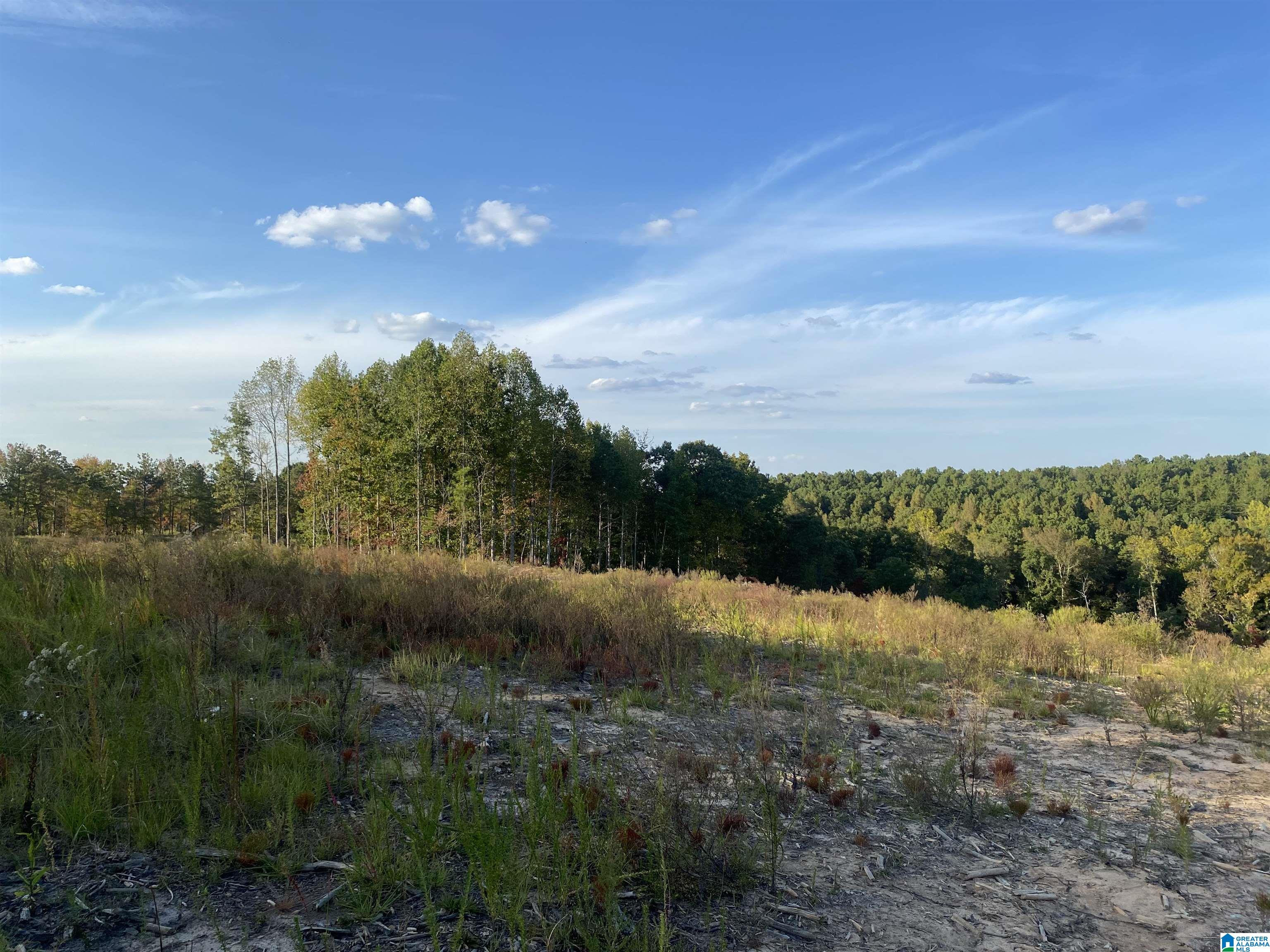 0 Frost Road, Unit 100 / ACRES Springville, AL 35146 - Photo 19 of 60