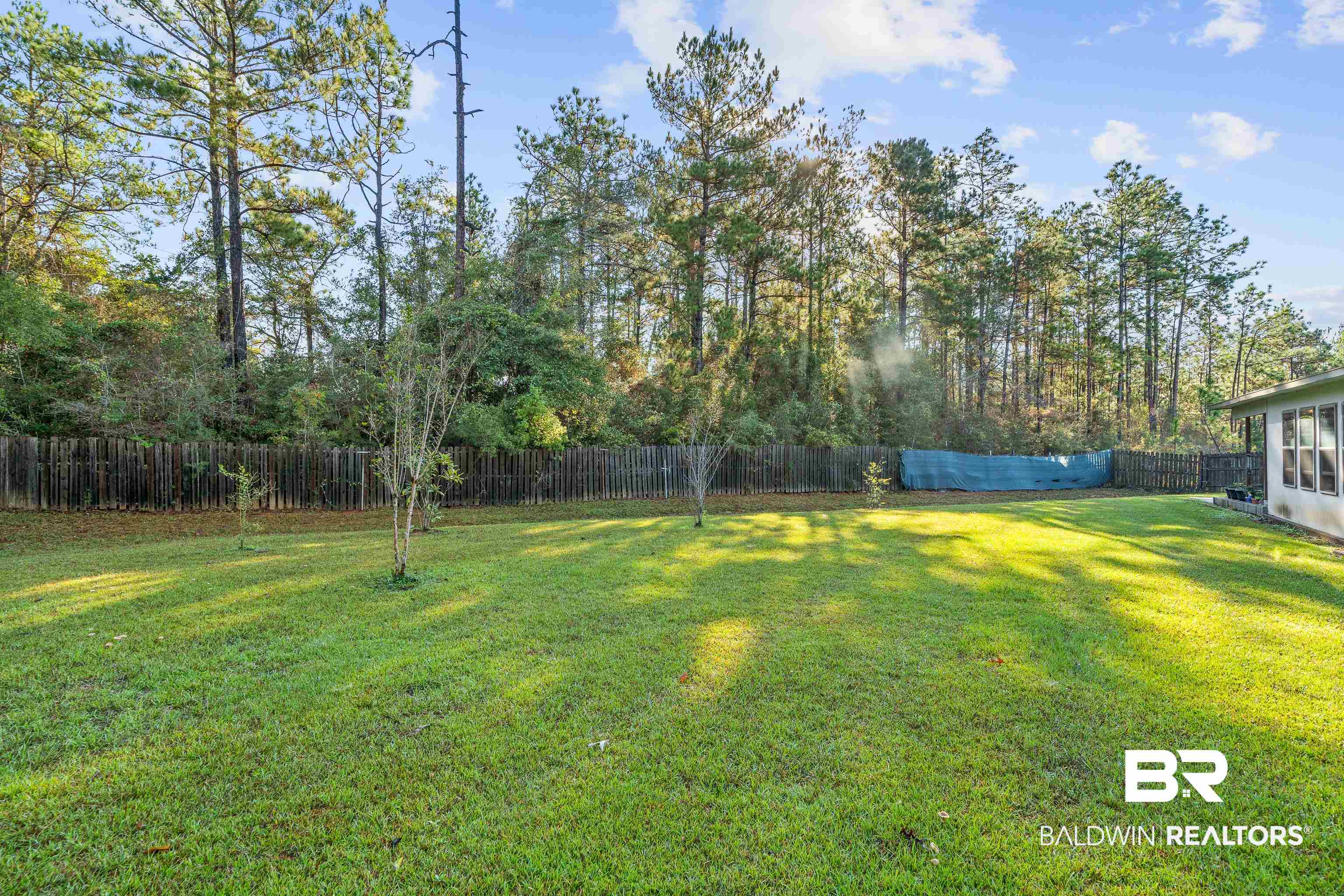9115 Krystal Ridge Court Daphne, AL 36526 - Photo 37 of 39 View of yard