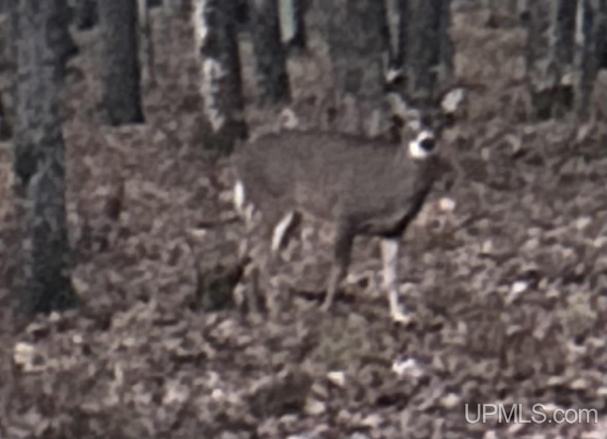 Tbd County Line Road Foster City, MI 49834 - Photo 38 of 56