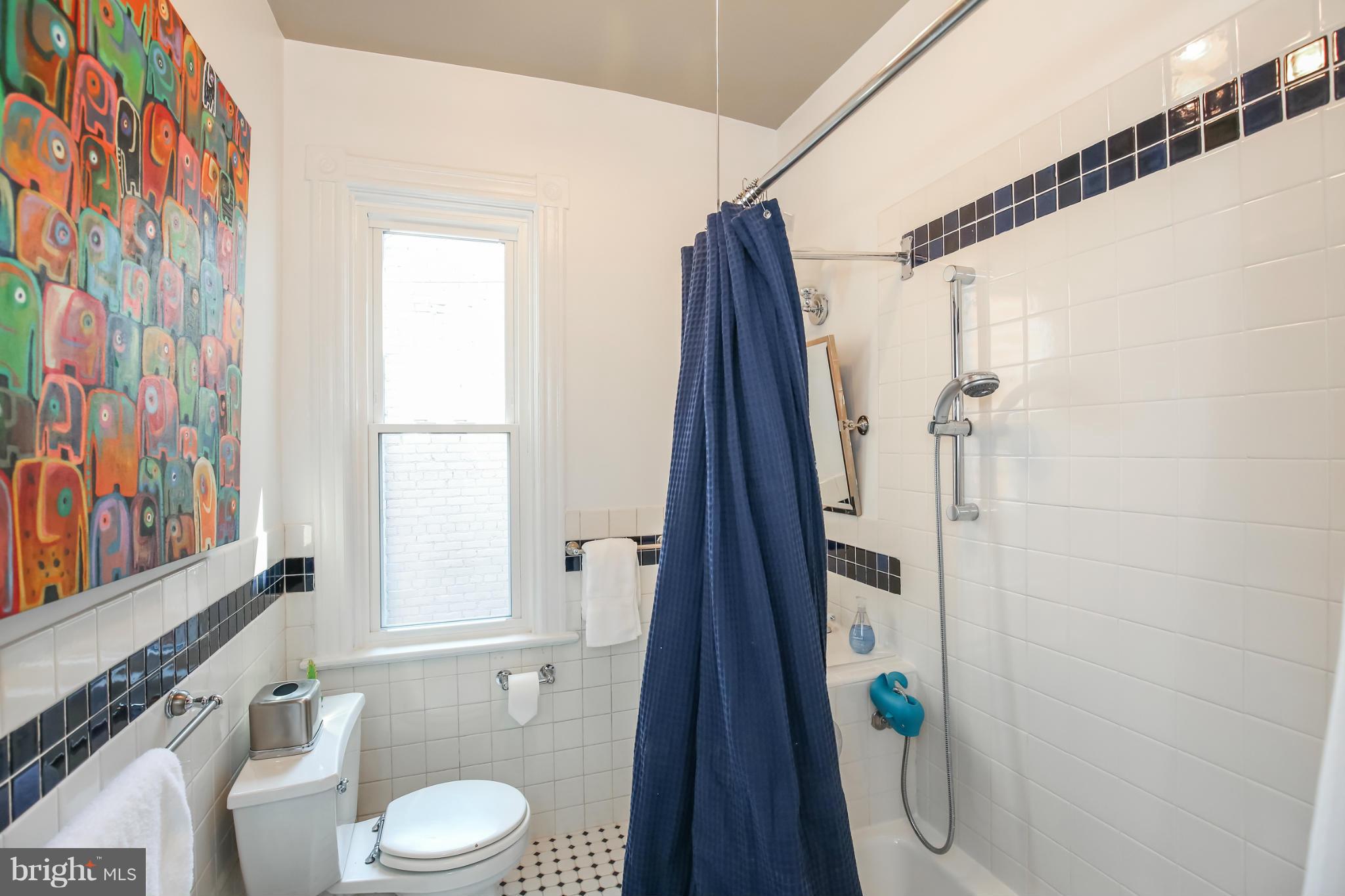 252 8th Street Southeast Washington, DC 20003 - Photo 23 of 29 a bathroom with a toilet and a shower curtain