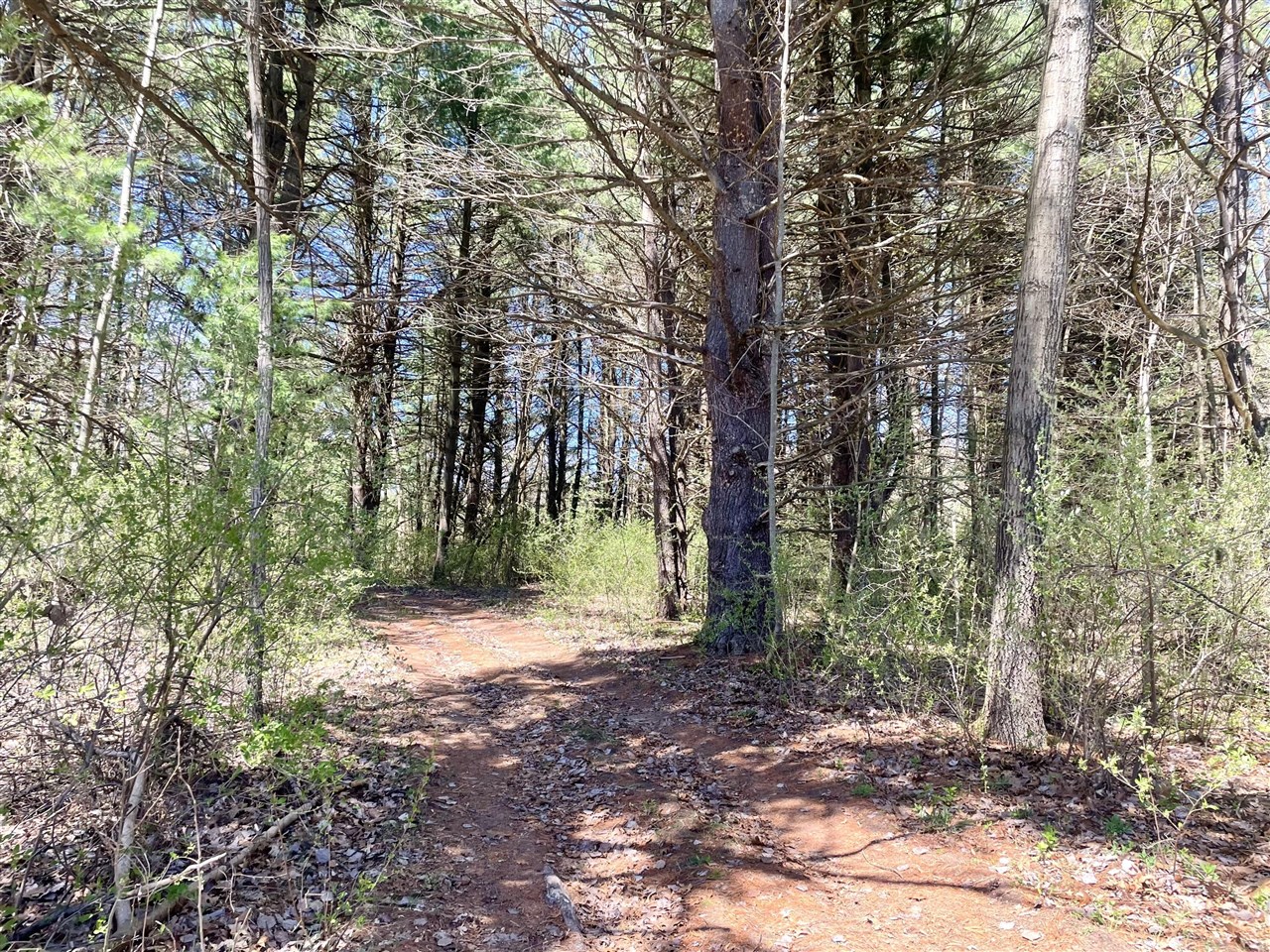 Hannah Road, Unit 4 Mount Pleasant, MI 48858 - Photo 5 of 15