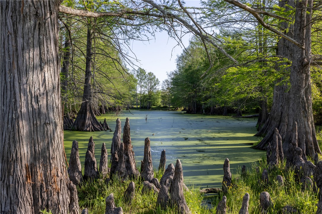 0 Clear Lake Road Bryan, TX 77808 - Photo 11 of 34 Duck Slough