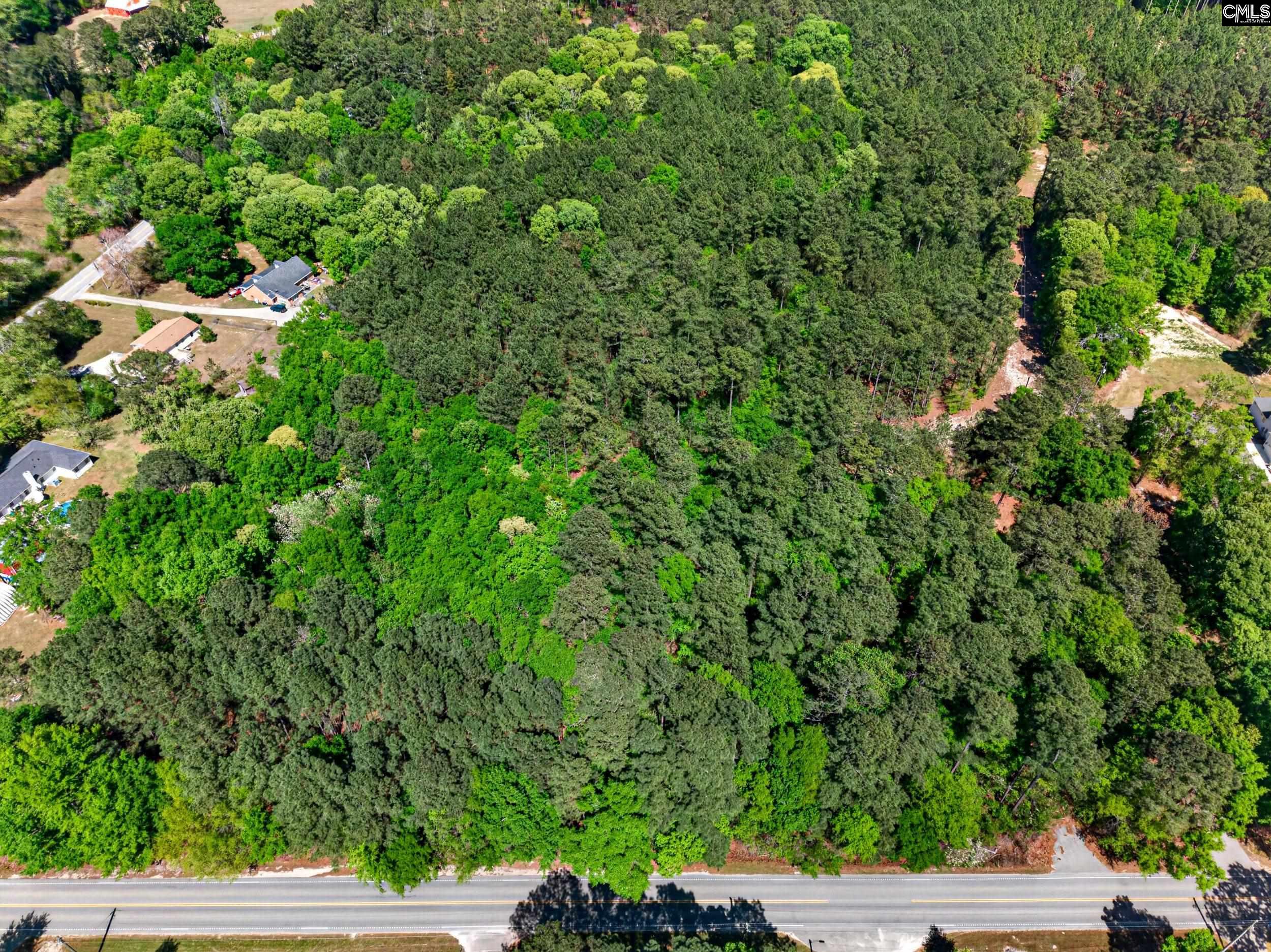 219 Juniper Springs Road, Unit PARCEL A &B Gilbert, SC 29054 - Photo 3 of 5