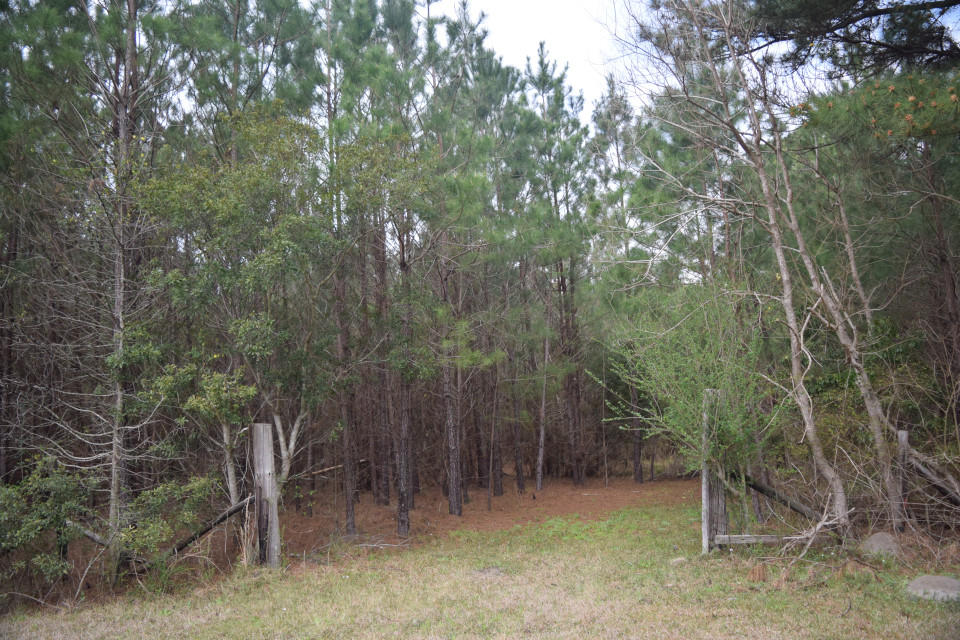 0 Sc-402 Moncks Corner, SC 29461 - Photo 1 of 4 DSC_0003