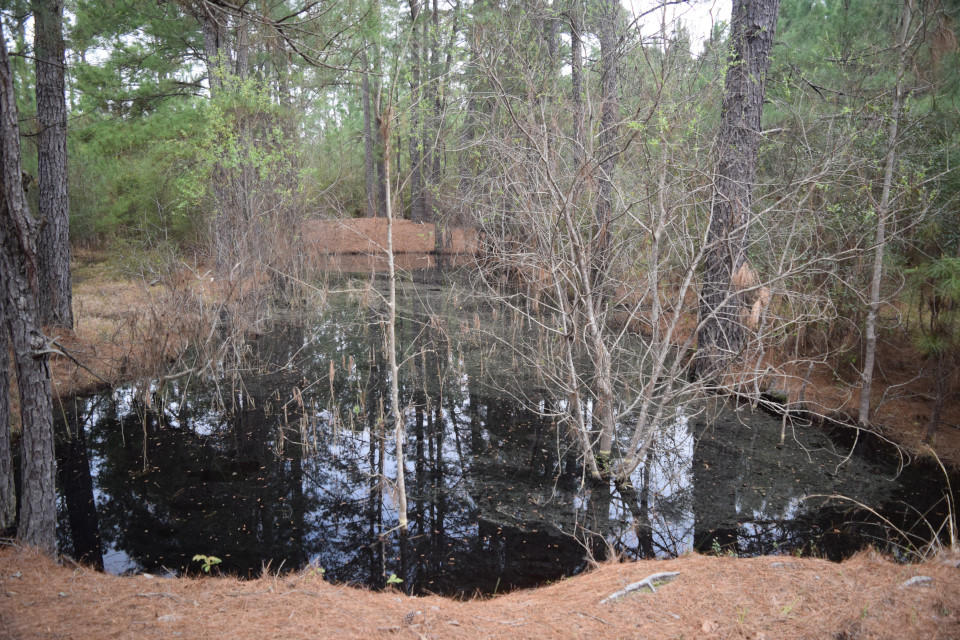 0 Sc-402 Moncks Corner, SC 29461 - Photo 2 of 4 DSC_0006