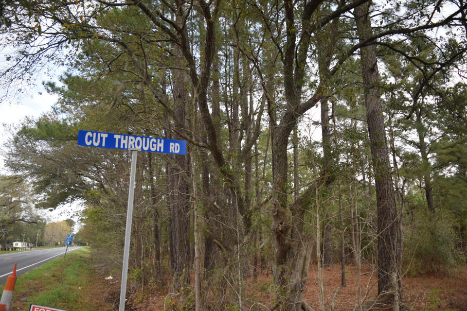 0 Sc-402 Moncks Corner, SC 29461 - Photo 4 of 4 DSC_0002