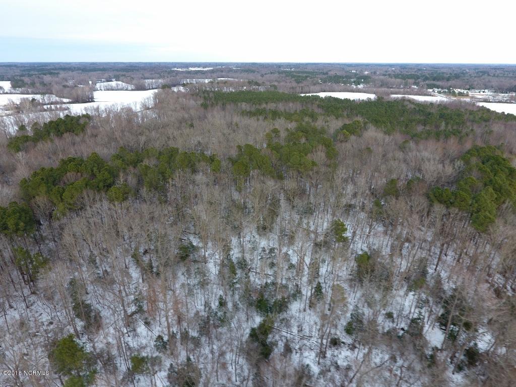 26.89 Bynum Farm Road Pinetops, NC 27864 - Photo 7 of 43 7 (1024x768)