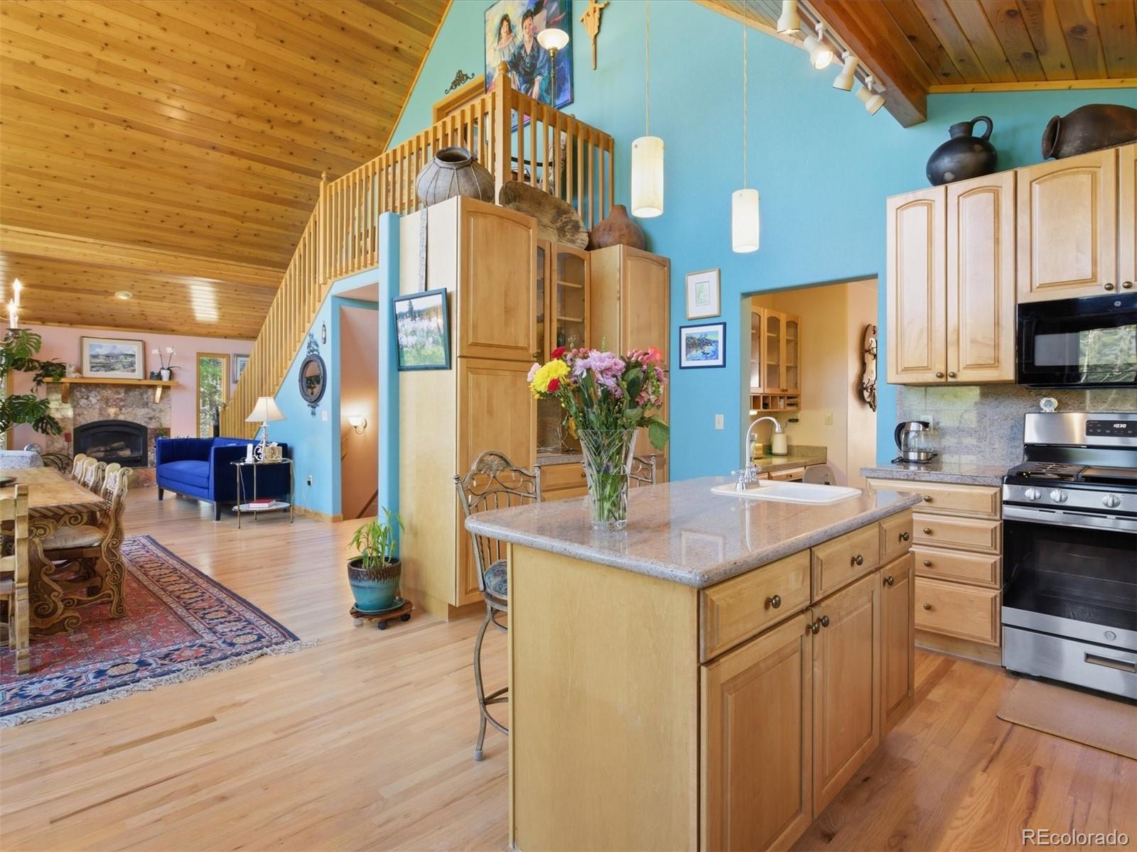 232 Highlands Drive Bailey, CO 80421 - Photo 18 of 50