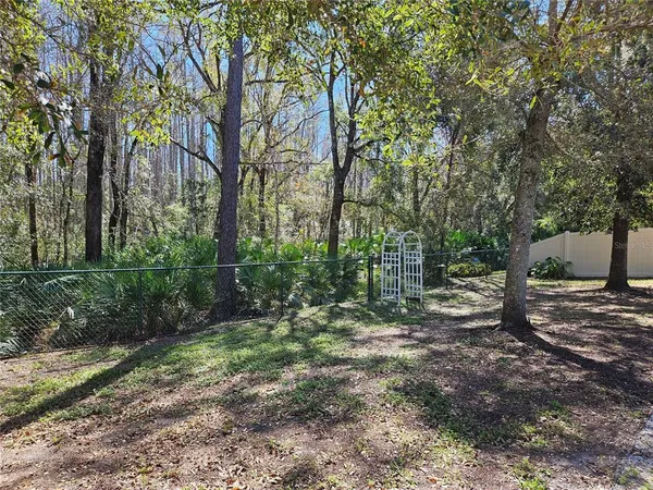$2,900 | 10740 Rain Lilly Pass, Land O Lakes, FL 34638