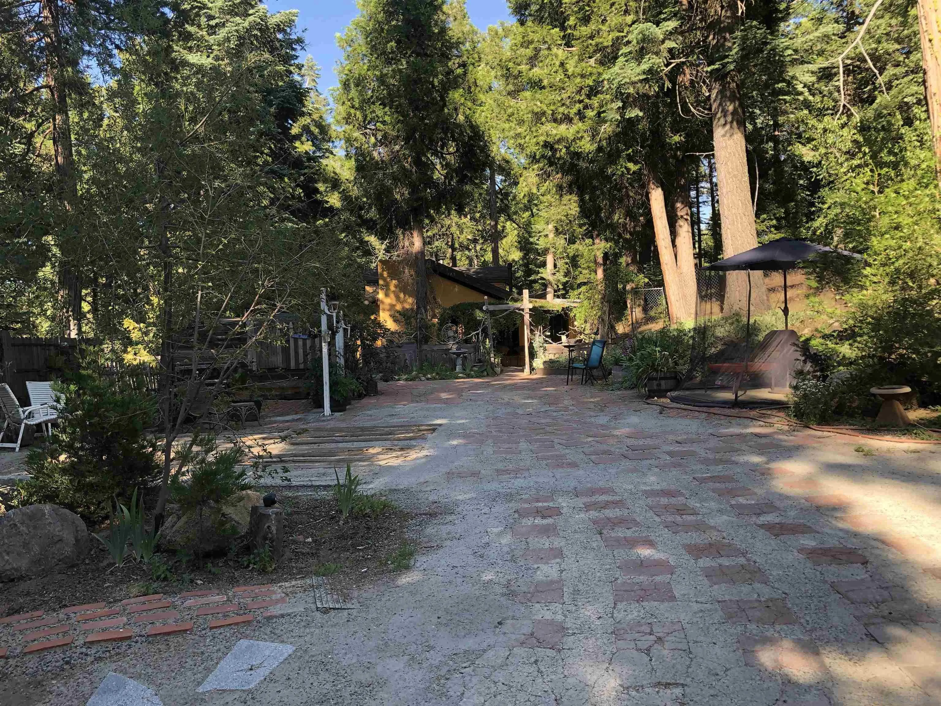 22188 Crestline Road Palomar Mountain, CA 92060 - Photo 2 of 69 a view of a street with trees and bushes