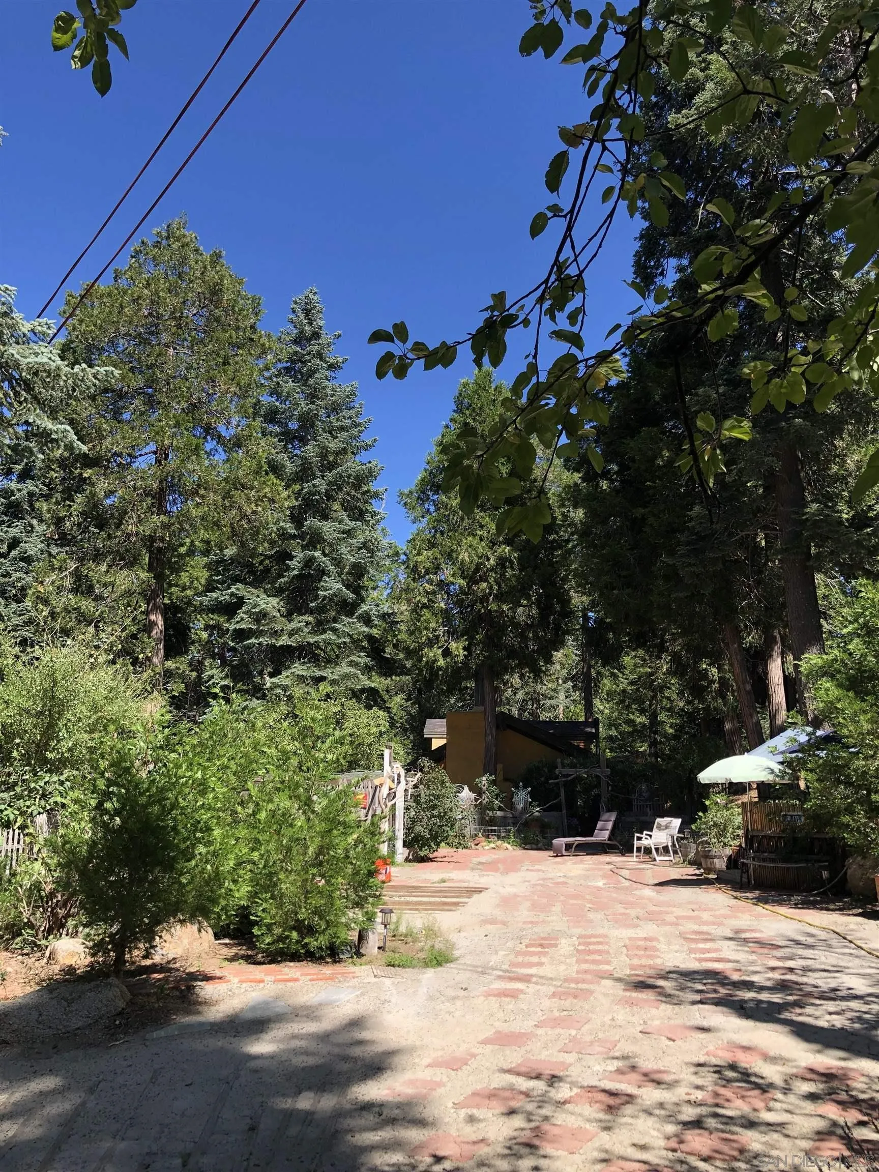 22188 Crestline Road Palomar Mountain, CA 92060 - Photo 3 of 69