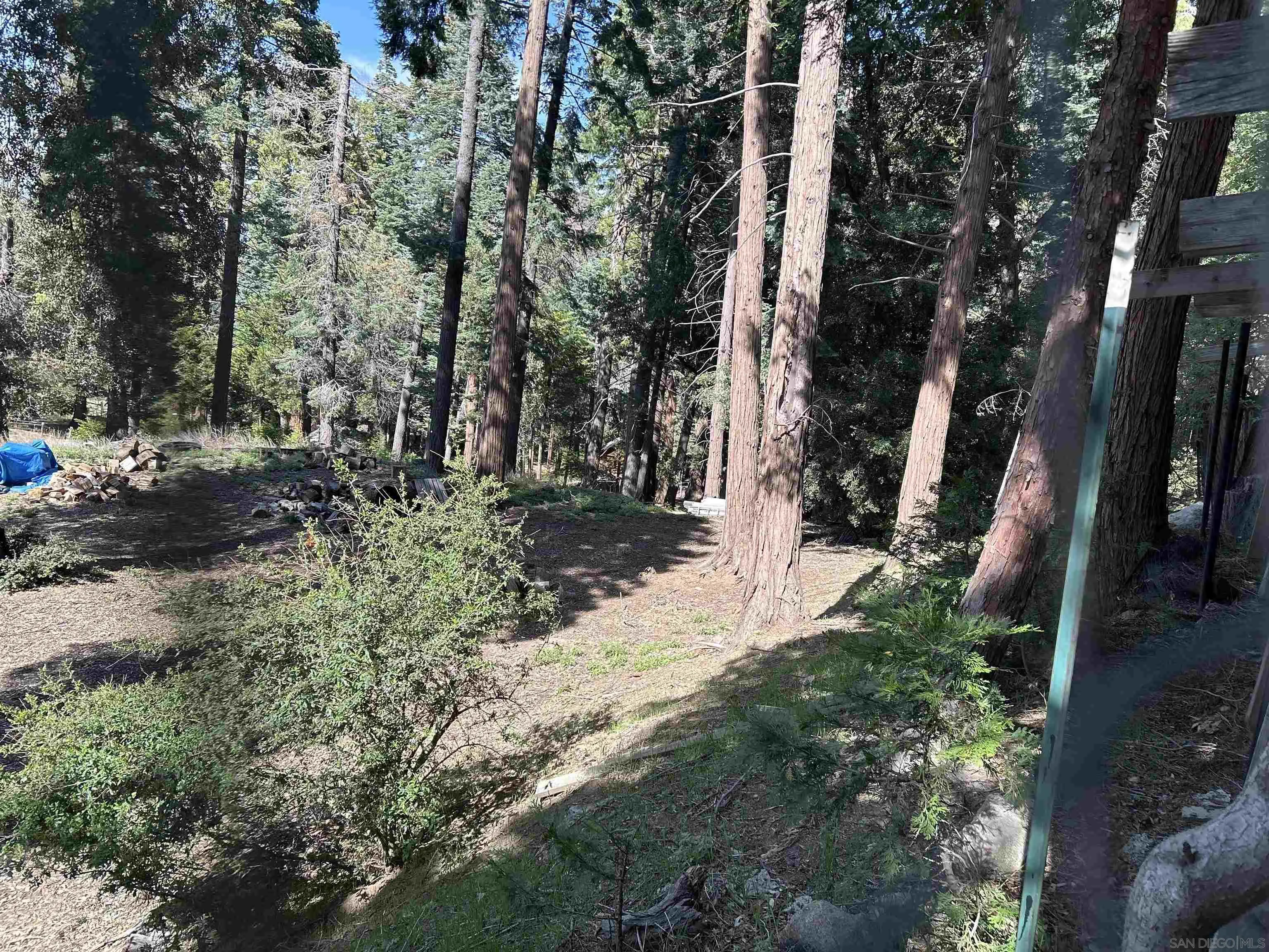 22188 Crestline Road Palomar Mountain, CA 92060 - Photo 69 of 69 a view of outdoor space and yard