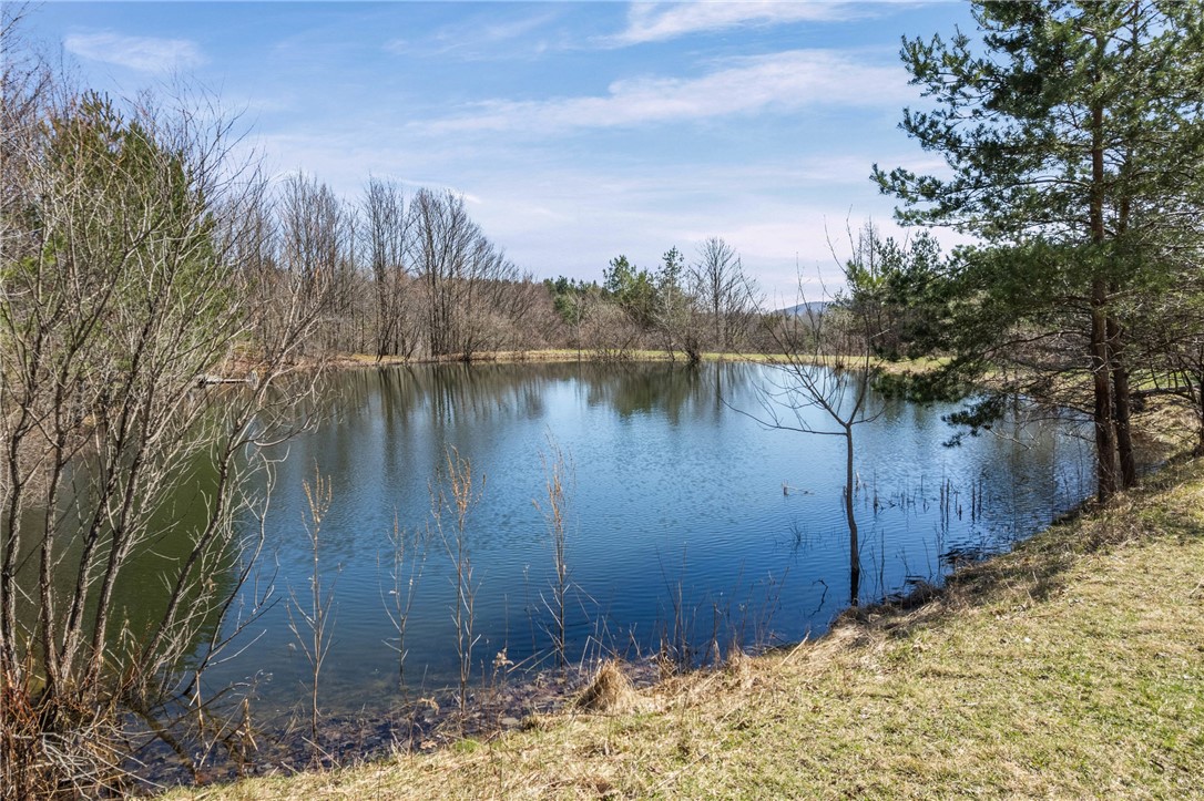 6561 Gulick Road South Bristol, NY 14512 - Photo 3 of 50