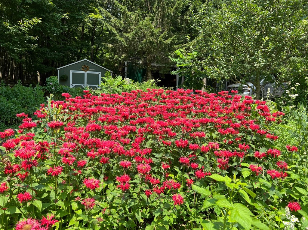 6561 Gulick Road South Bristol, NY 14512 - Photo 39 of 50