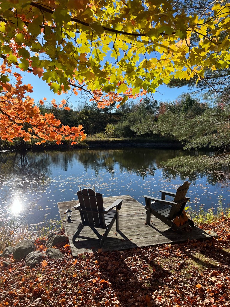 6561 Gulick Road South Bristol, NY 14512 - Photo 4 of 50