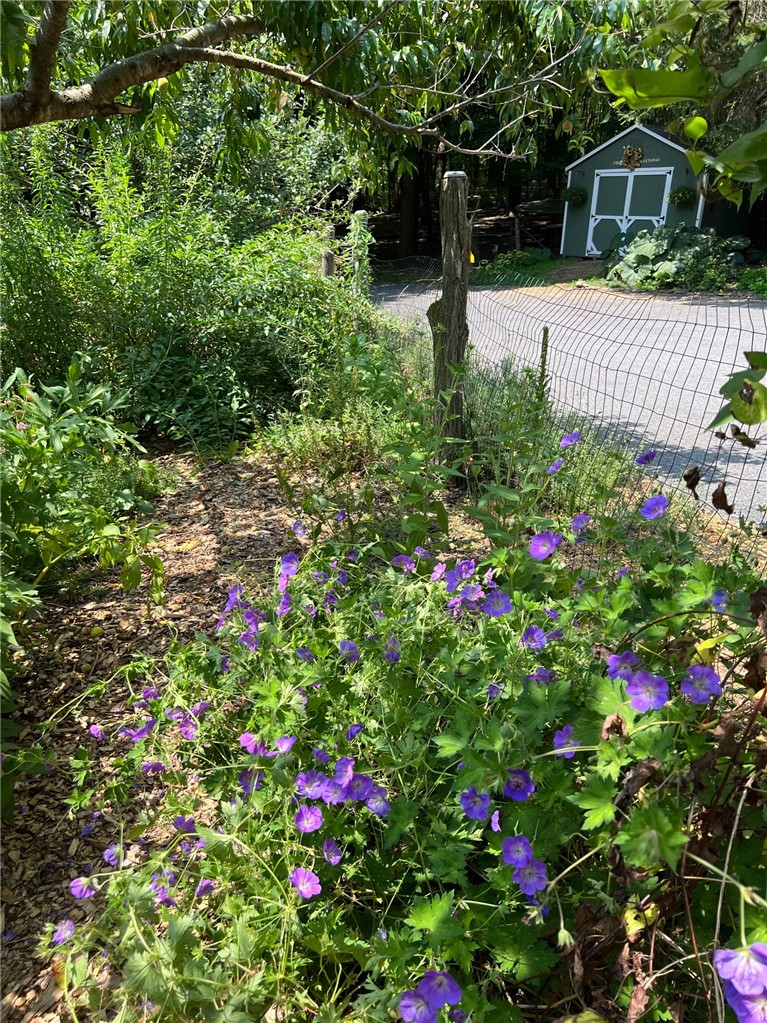 6561 Gulick Road South Bristol, NY 14512 - Photo 41 of 50