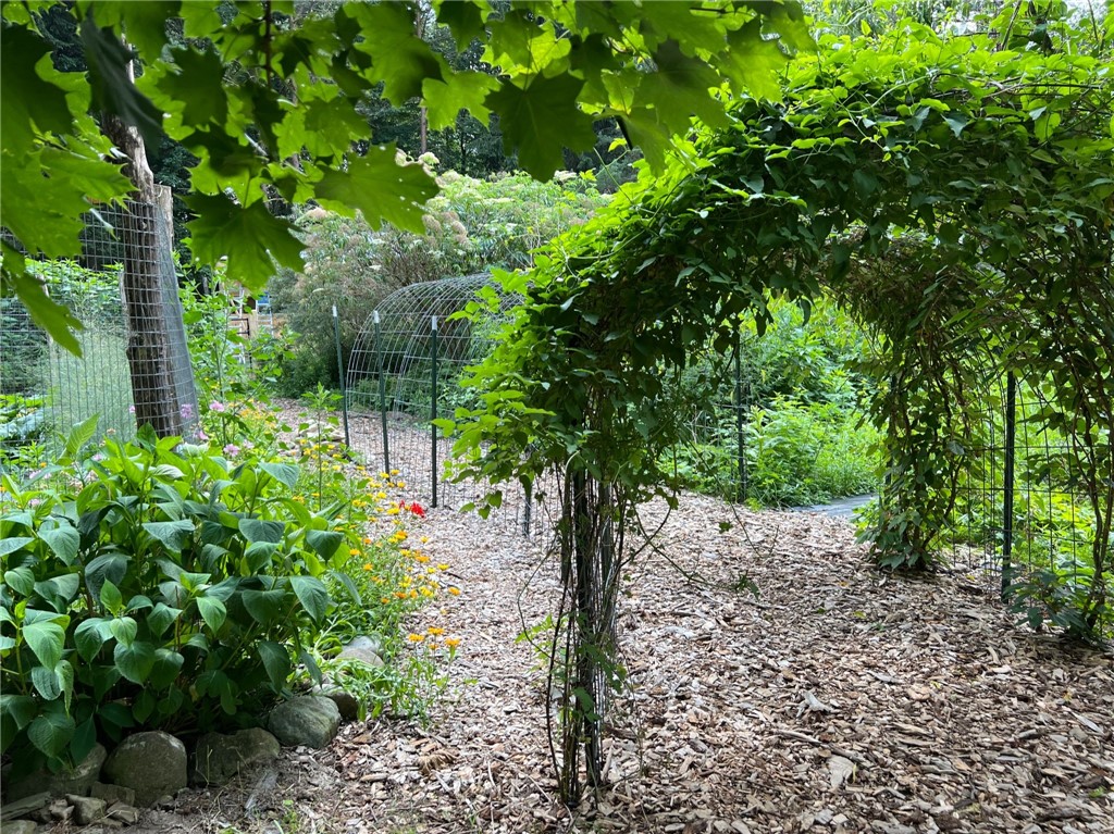 6561 Gulick Road South Bristol, NY 14512 - Photo 43 of 50