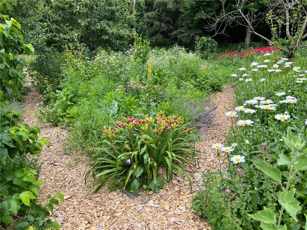 6561 Gulick Road South Bristol, NY 14512 - Photo 44 of 50