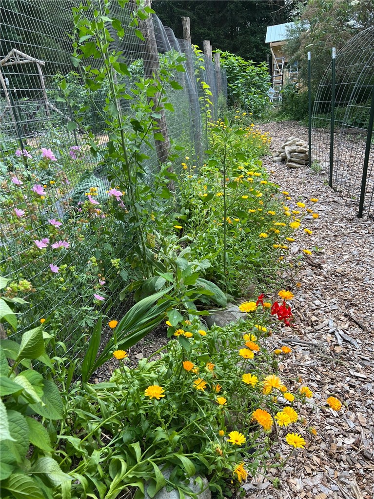 6561 Gulick Road South Bristol, NY 14512 - Photo 45 of 50