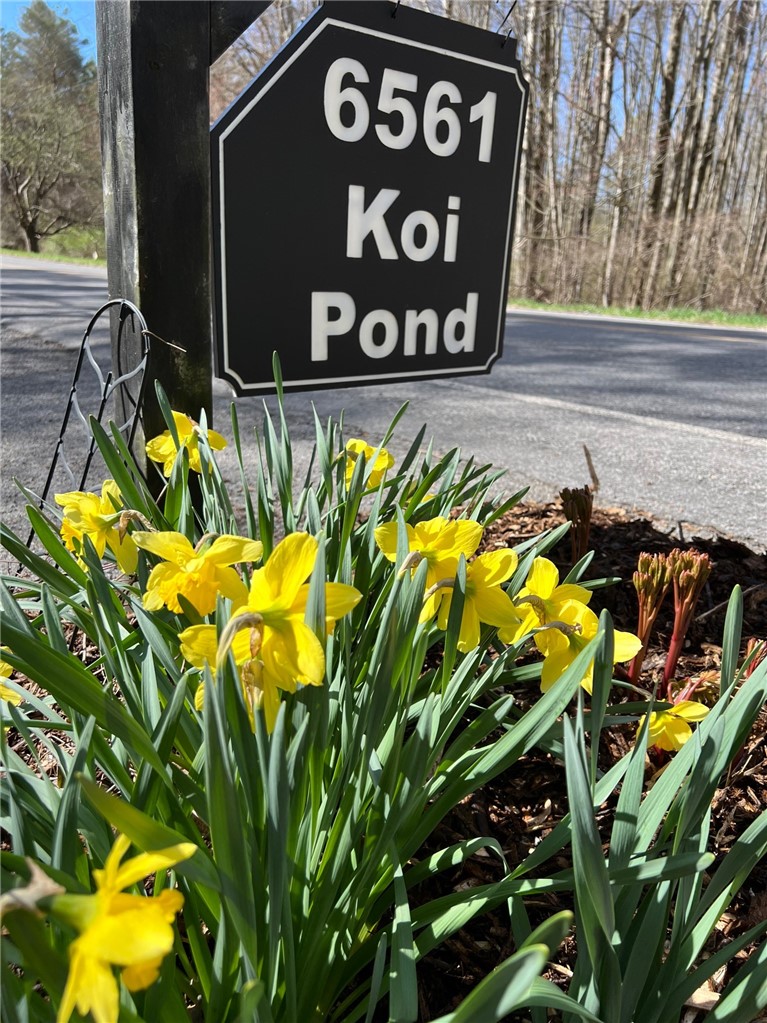 6561 Gulick Road South Bristol, NY 14512 - Photo 47 of 50