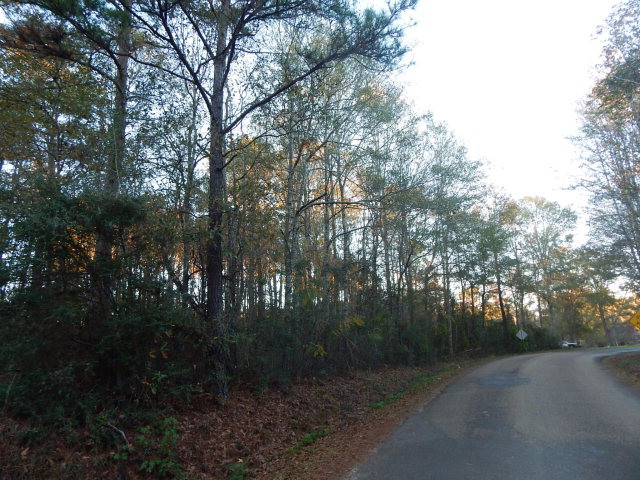 2070 Fernwood Road McComb, MS 39648 - Photo 1 of 1 Main View