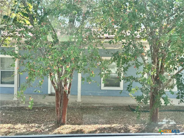 a view of a tree in the middle of a yard