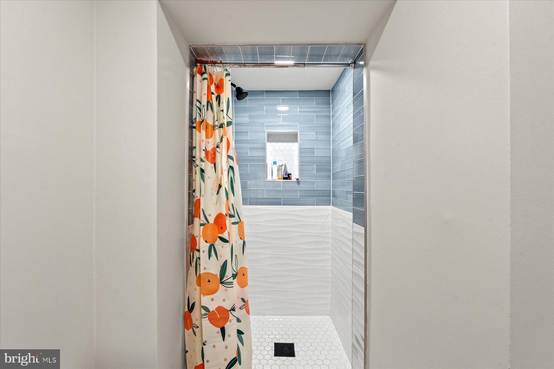 5612 Overlea Road Bethesda, MD 20816 - Photo 50 of 55 Lower level shower