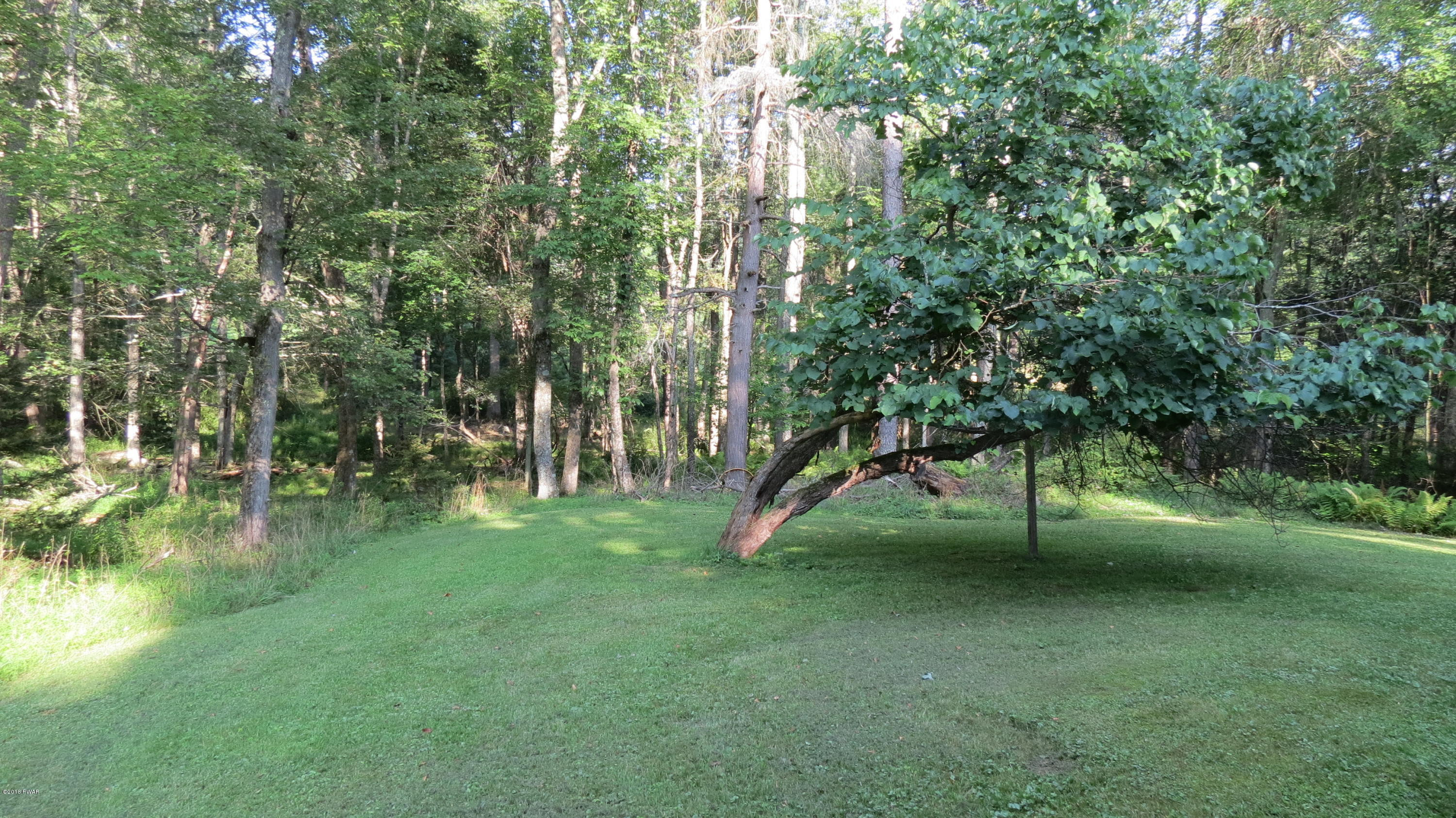 58 Mitchell Pond E Road Cochecton, NY 12726 - Photo 14 of 18