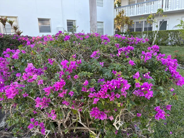 a room with pool table and windows