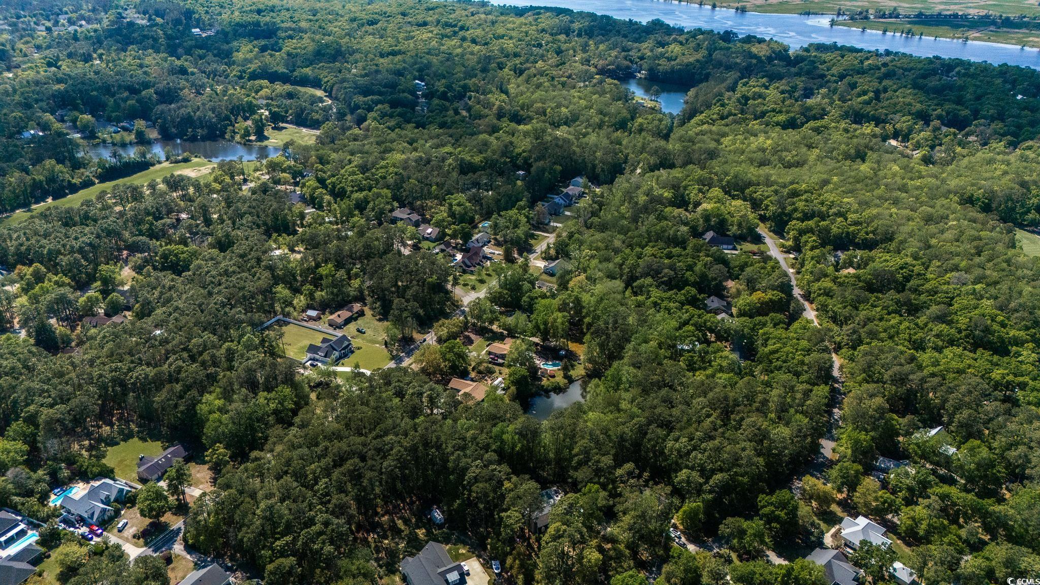 133 Otter Run Road Pawleys Island, SC 29585 - Photo 20 of 21