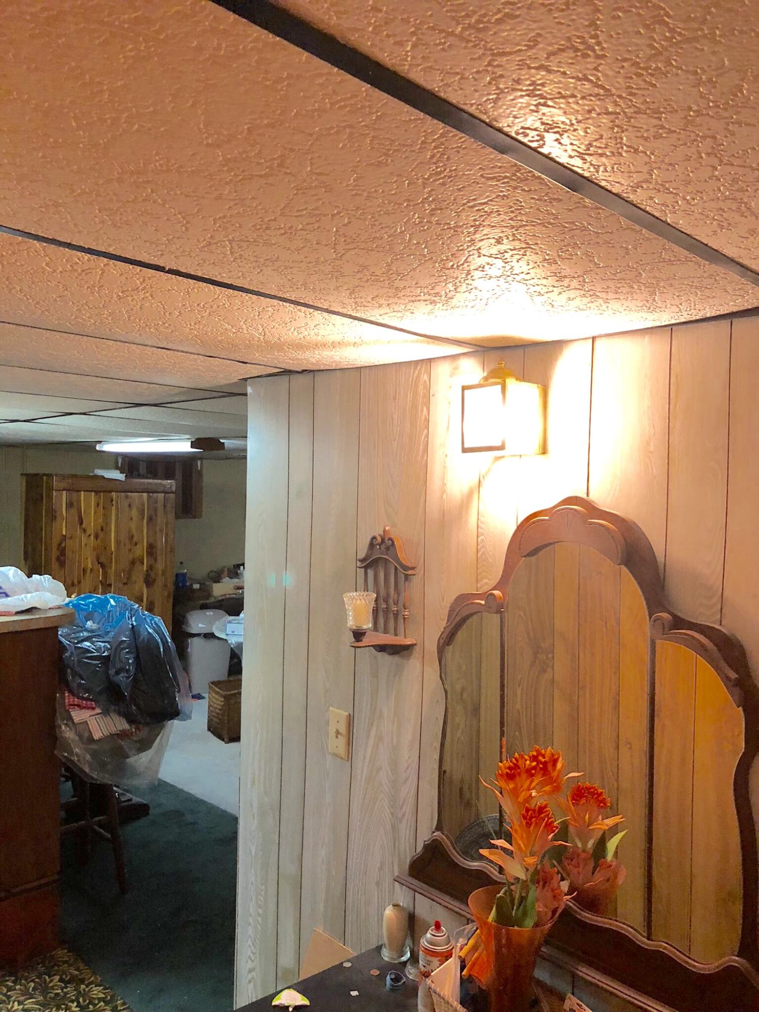 1825 Angus Road Northwest Roanoke, VA 24017 - Photo 18 of 23 Finished Basement