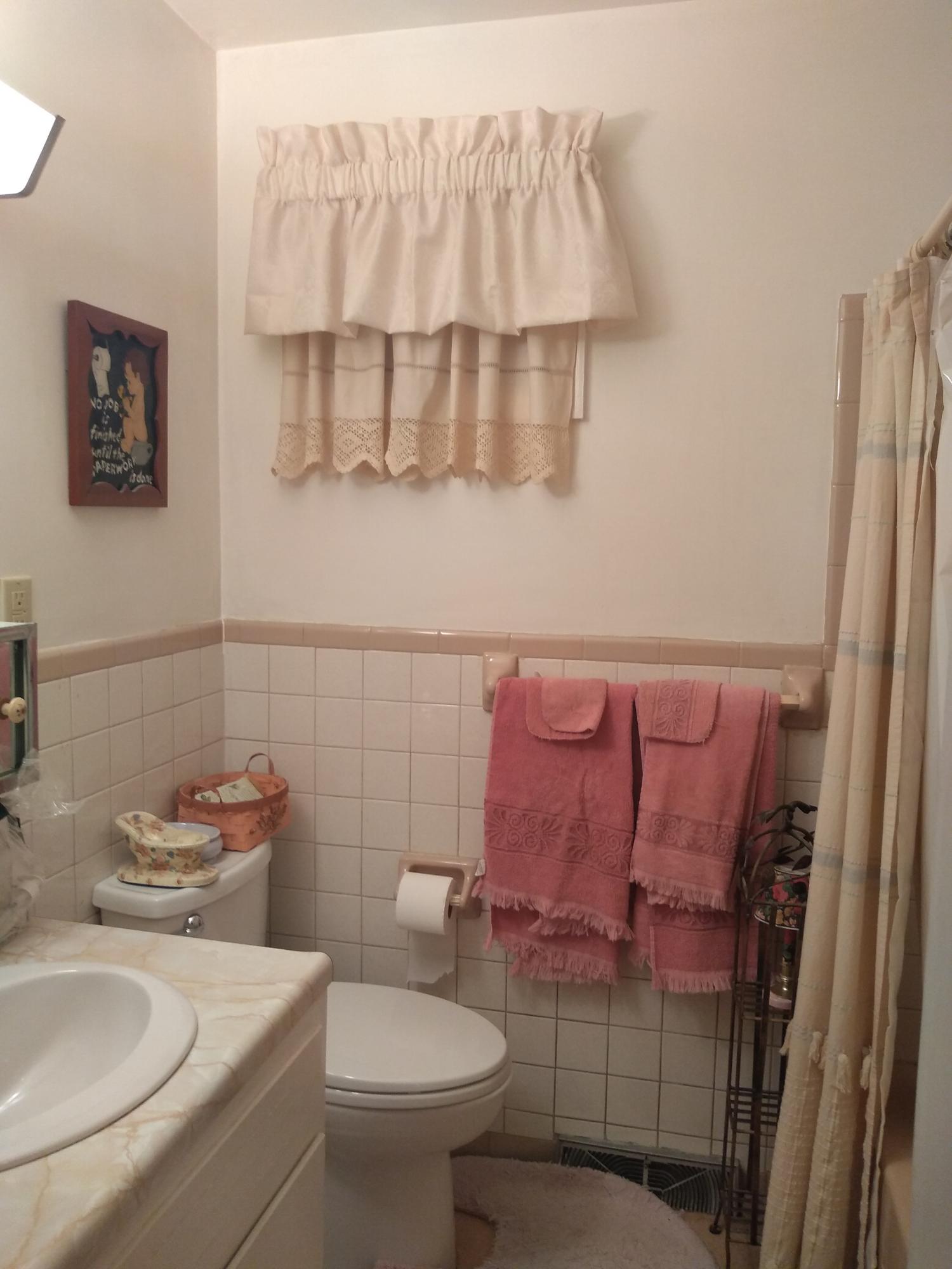 1825 Angus Road Northwest Roanoke, VA 24017 - Photo 9 of 23 Hall Bathroom