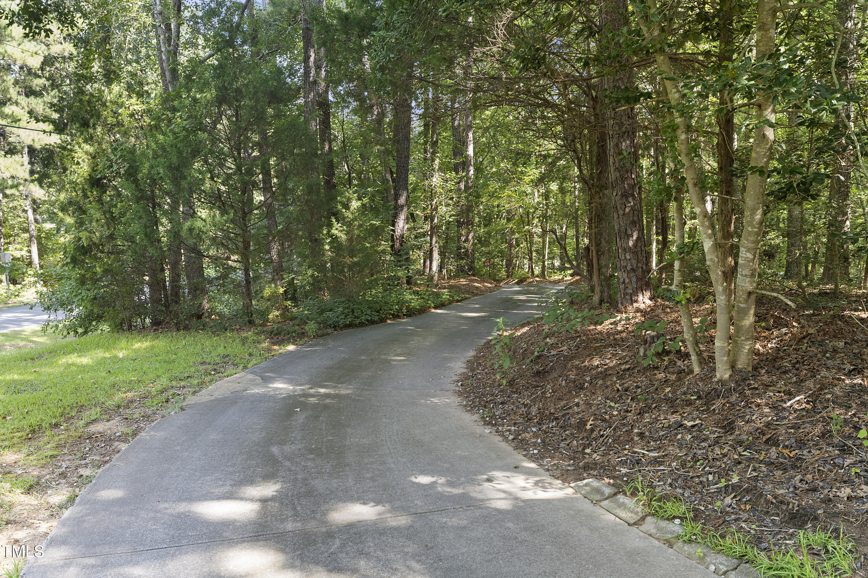 73 Hilltop Road Sanford, NC 27330 - Photo 48 of 54 a view of a forest filled with trees