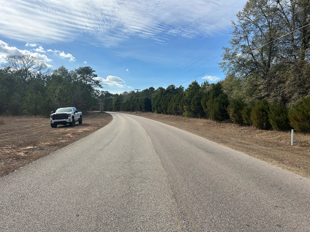 9-ac Whittle Hudson Road Ozark, AL 36360 - Photo 22 of 34
