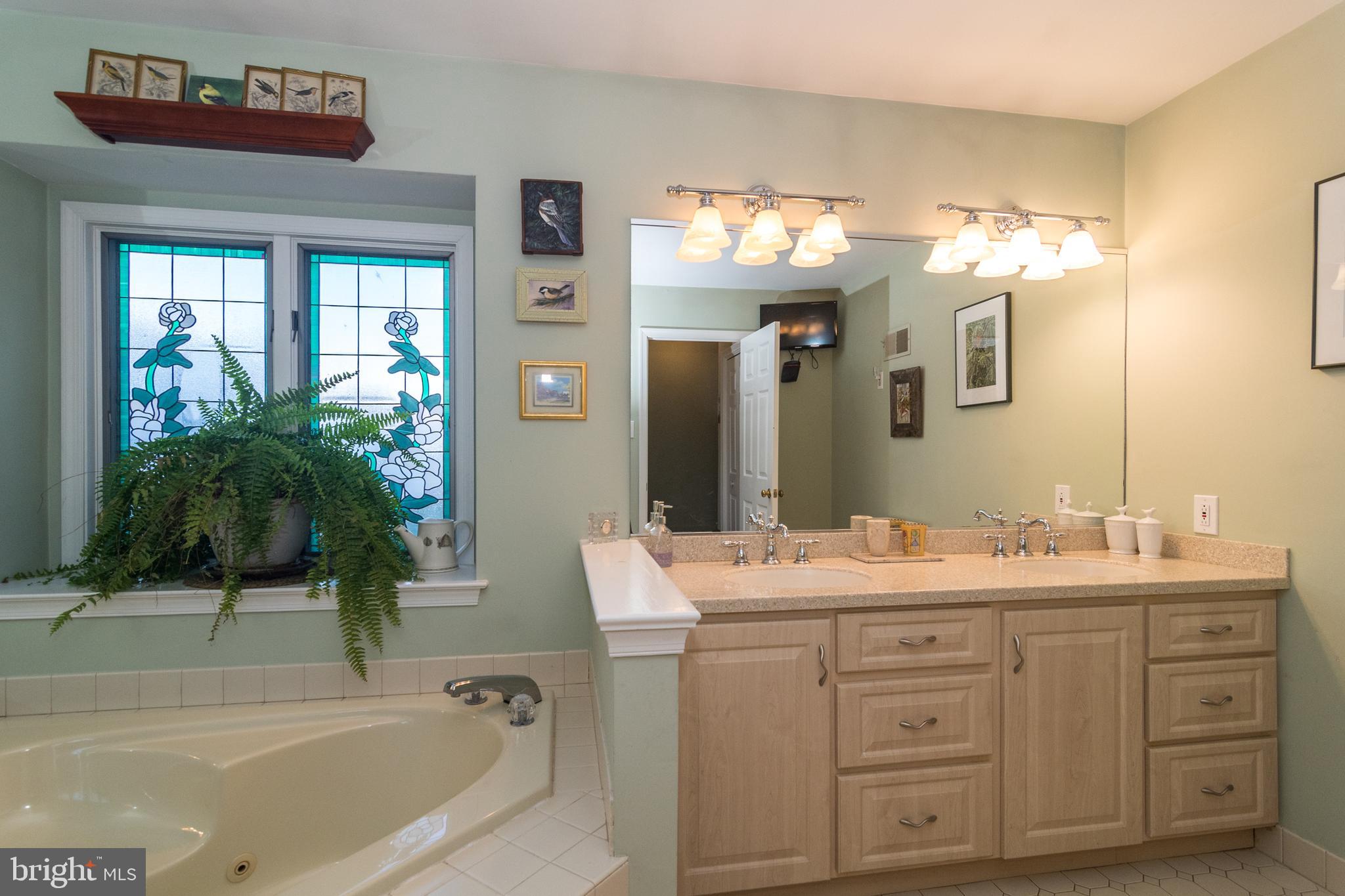 110 Ridgeview Lane Doylestown, PA 18901 - Photo 36 of 67 Main floor master bathroom