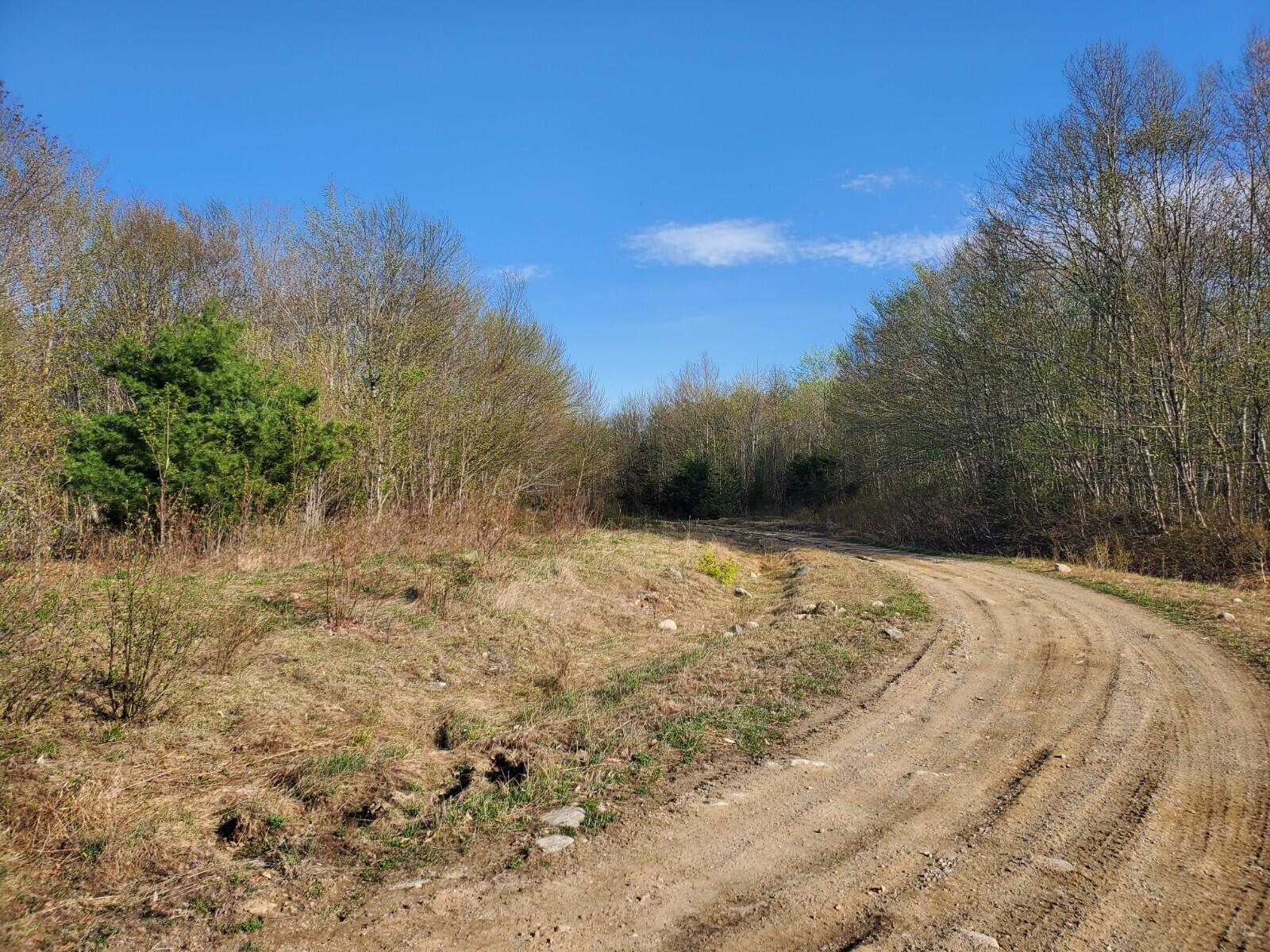 Lot F Fire Road Houlton, ME 04730 - Photo 4 of 6 20220513_171100