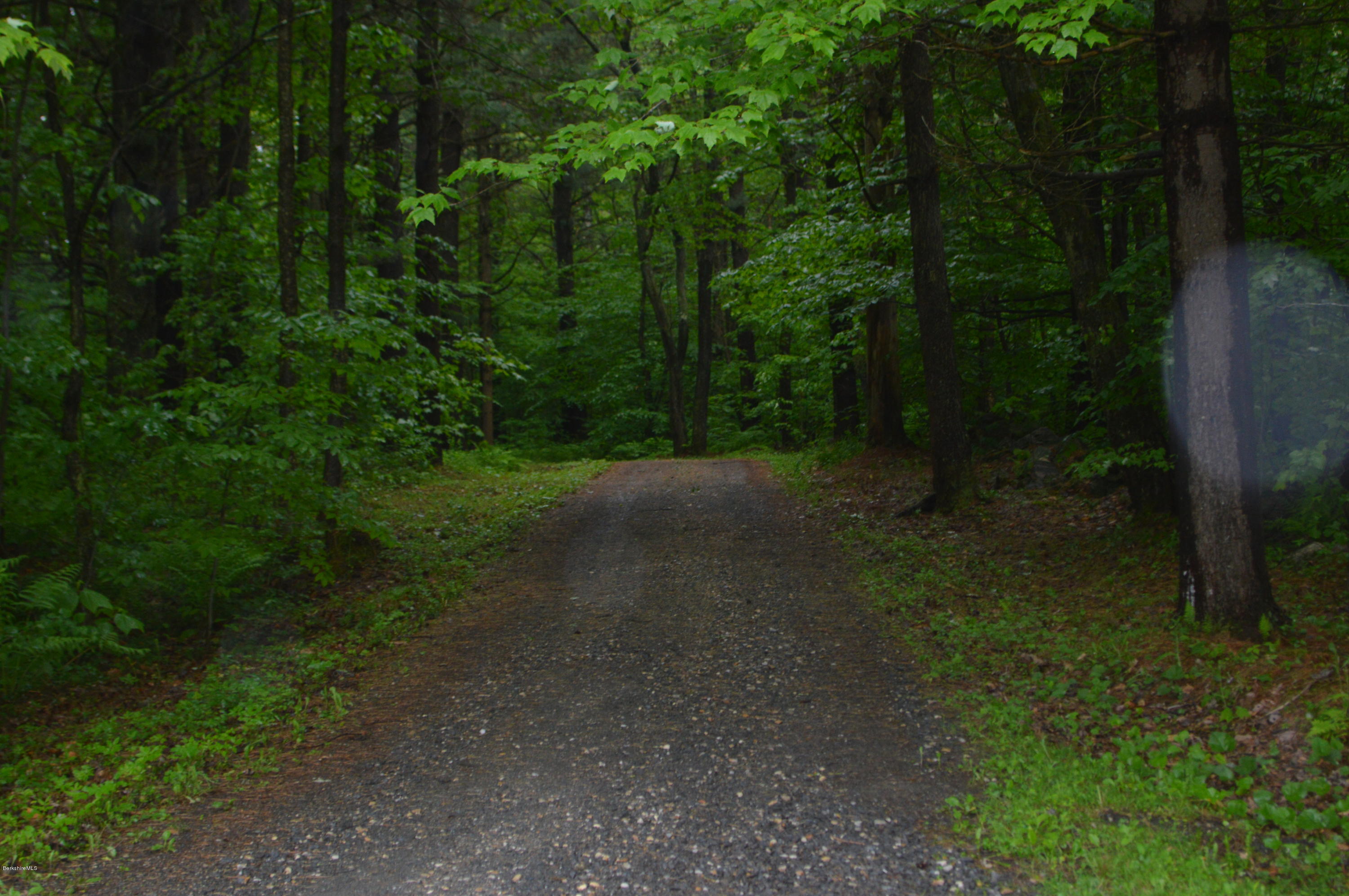115 Webster Road Tyringham, MA 01264 - Photo 19 of 23 a view of a forest with trees in the background