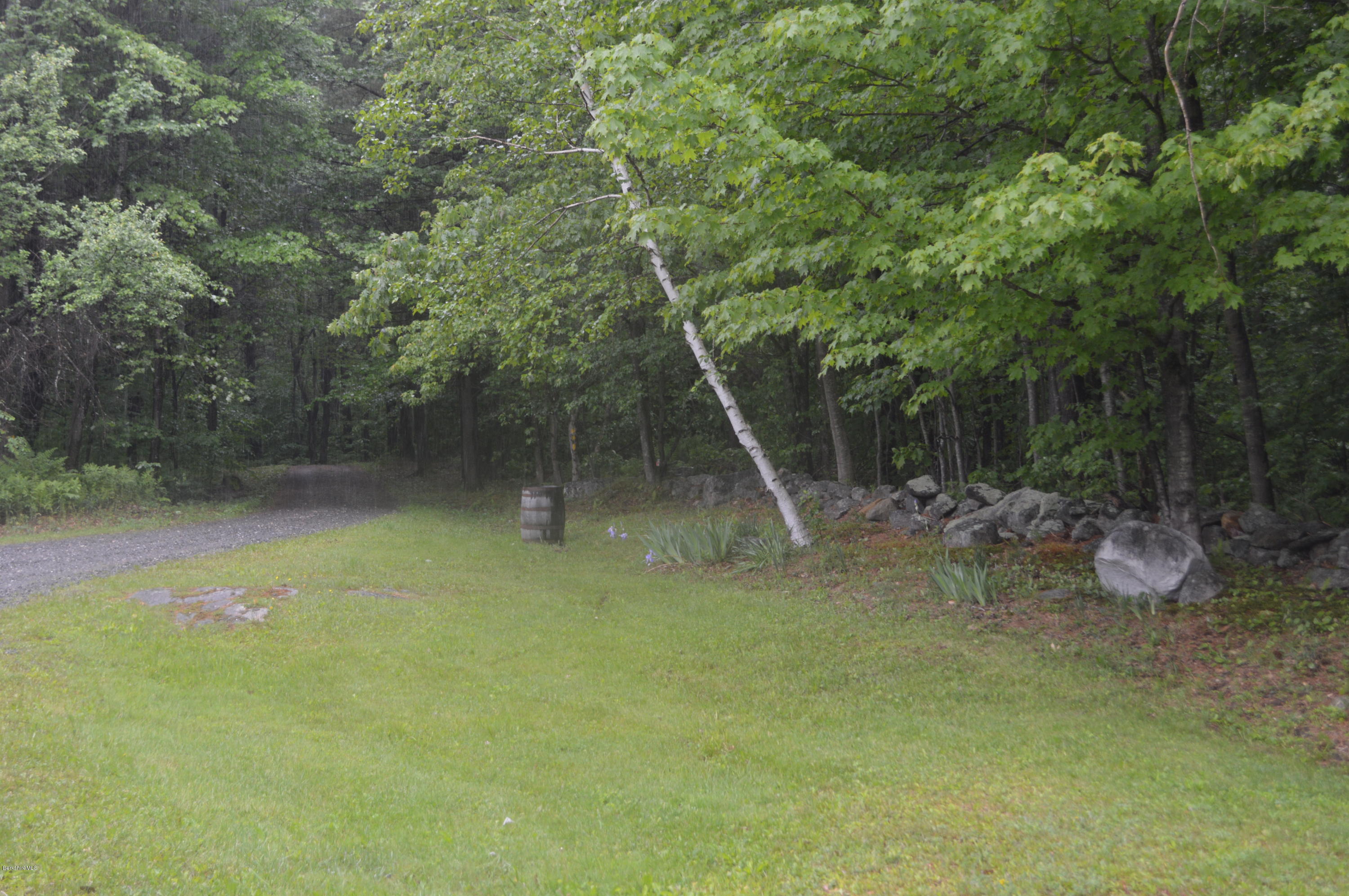 115 Webster Road Tyringham, MA 01264 - Photo 20 of 23 a view of a backyard with a tree