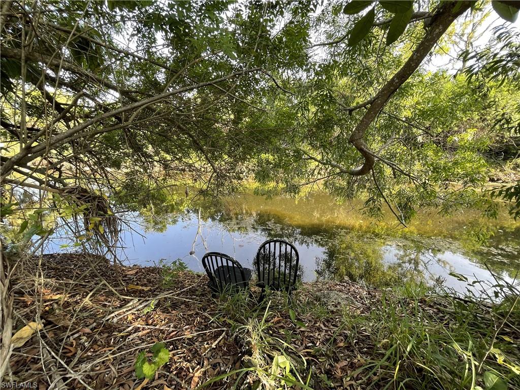 5470 16th Place Southwest, Unit 107 Naples, FL 34116 - Photo 28 of 31 a view of a yard with plants and trees