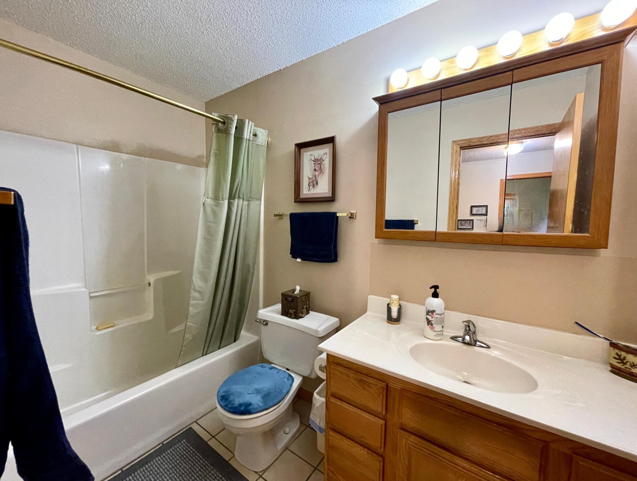 6320 Tall Pines Road Northeast Bemidji, MN 56601 - Photo 13 of 31 Gallery Image 13