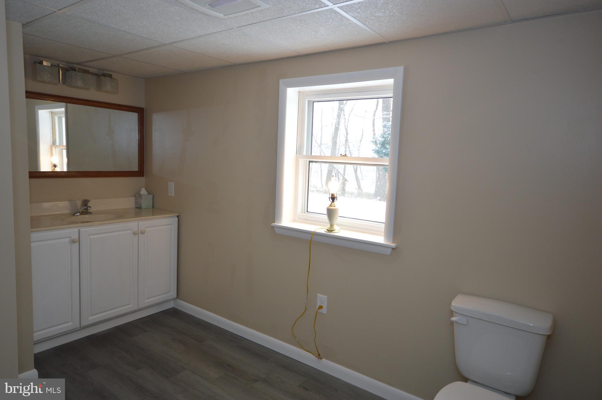326 Brick Road Oxford, PA 19363 - Photo 21 of 26 lower level bath