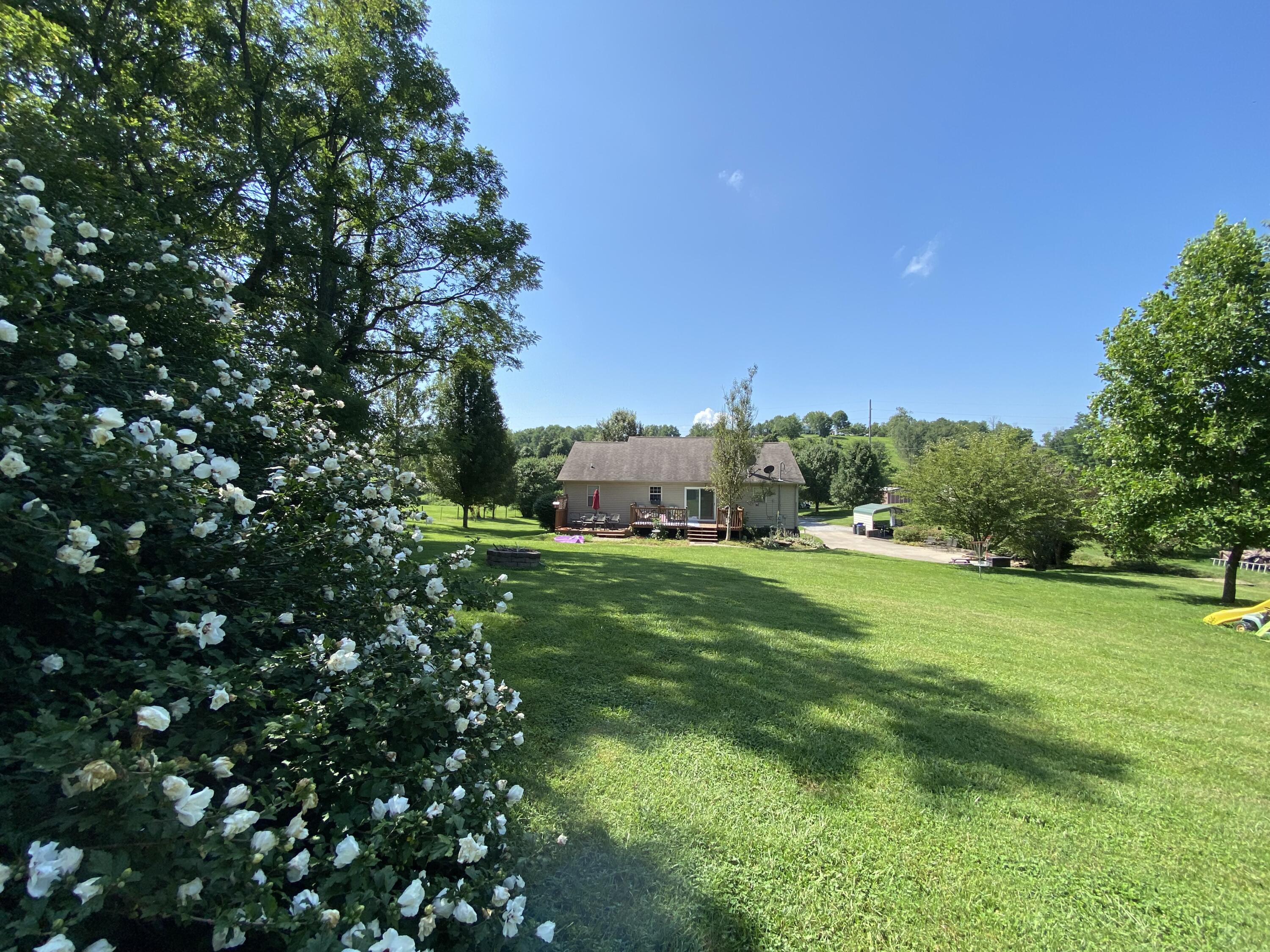 4476 Ecton Road Winchester, KY 40391 - Photo 33 of 35 Backyard
