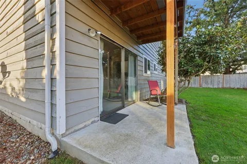 a view of a backyard with plants and a large tree