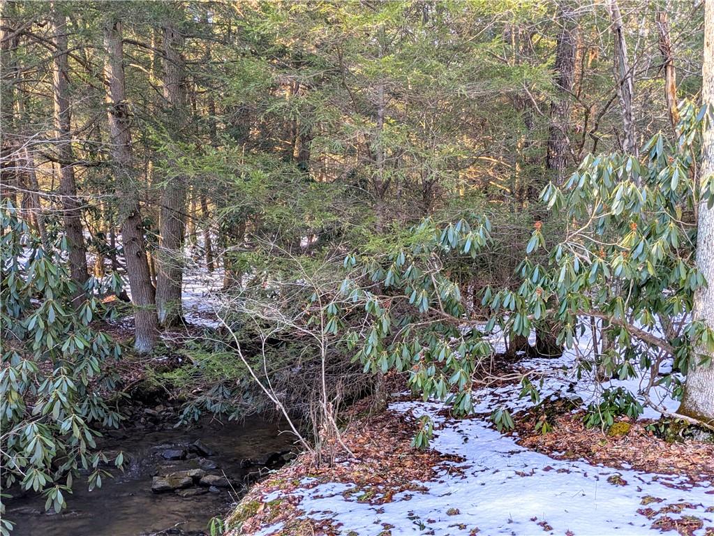 160 Mill Run School Road Farmington, PA 15437 - Photo 21 of 21 Gallery Image 21