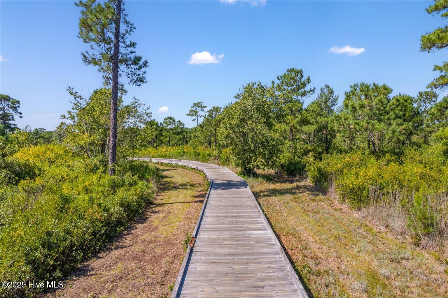 170 North Passerine Path Hampstead, NC 28443 - Photo 57 of 61 29-DJI_0140-Edit
