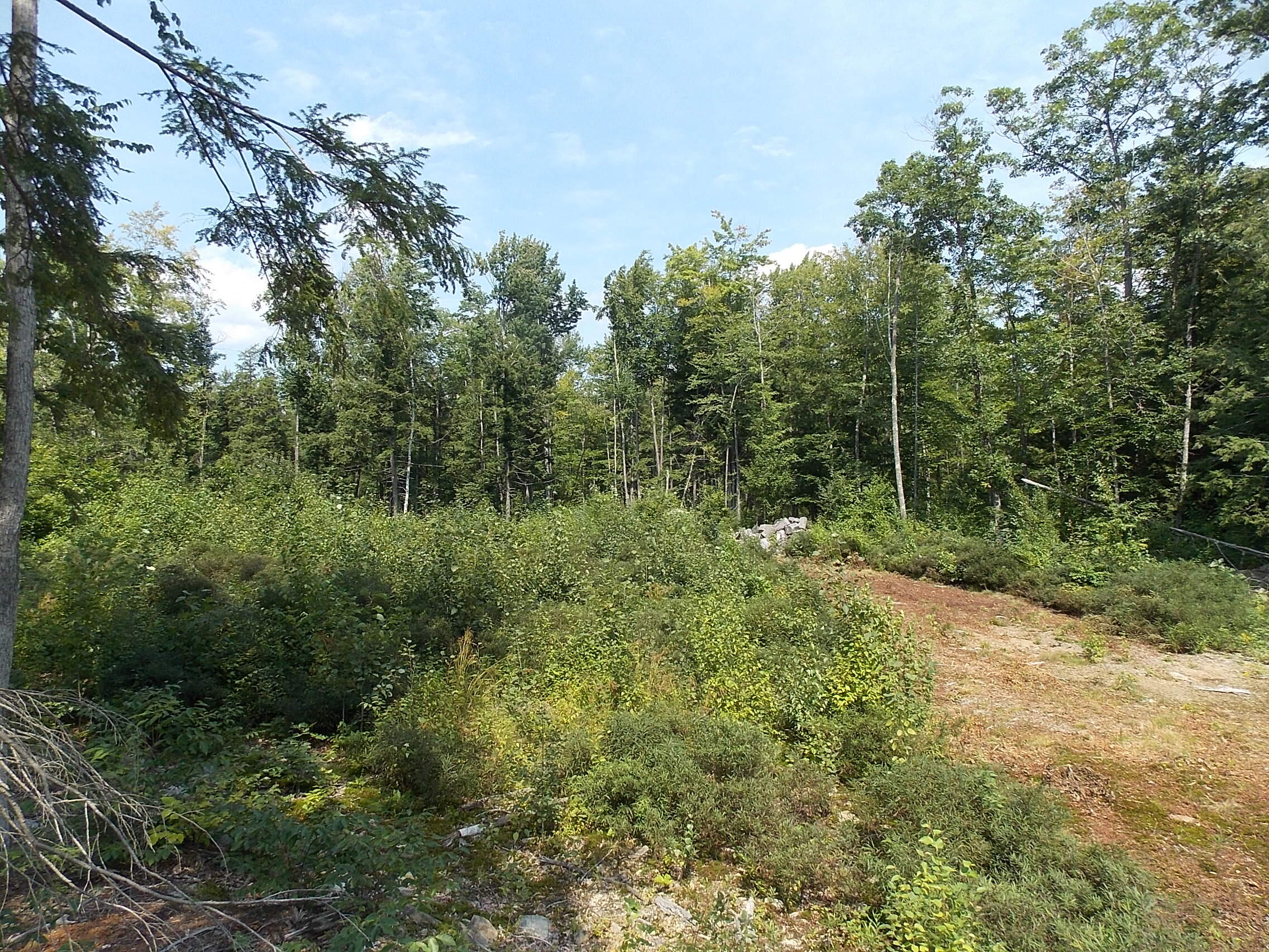 0 Walnut Brook Road Sanford, ME 04073 - Photo 8 of 19 DSCN9521