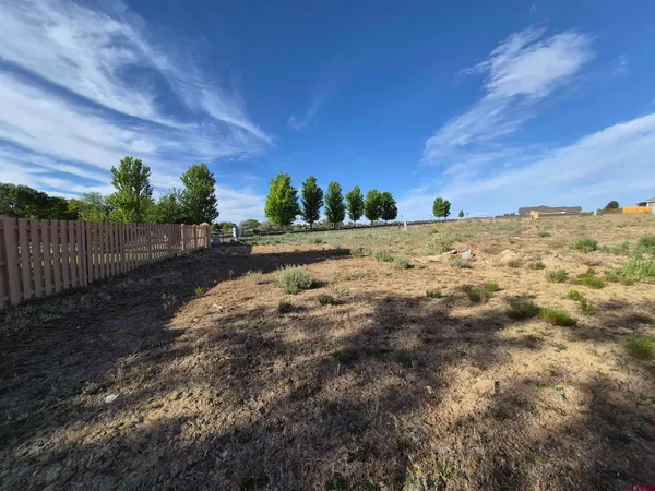a view of a yard with wooden fence