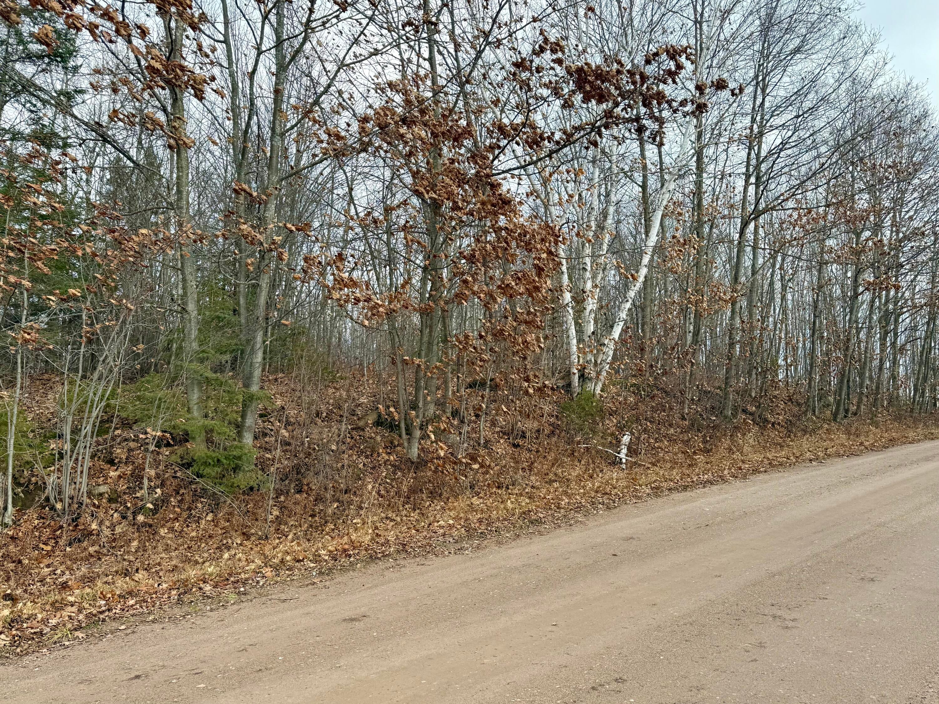 0 East 3 Mile Road Sault Ste. Marie, MI 49783 - Photo 3 of 7 Gallery Image 3