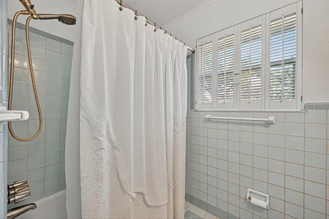 a view of a backyard with plants and a garden